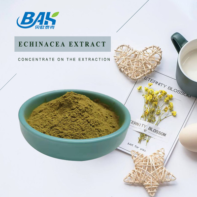 High Quality Factory Wholesale Echinacea Extract Brown Yellow Powder