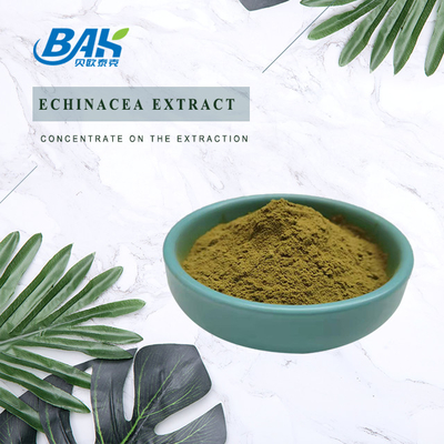High Quality Factory Wholesale Echinacea Extract Brown Yellow Powder