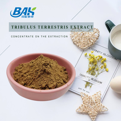 98% 95% 90% Tribulus Terrestris L Mens Health Supplement  Extract Halal ISO