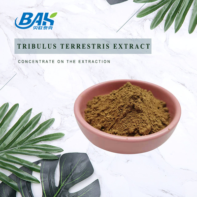 98% 95% 90% Tribulus Terrestris L Mens Health Supplement  Extract Halal ISO