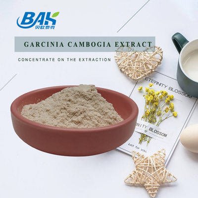 50% 60% Garcinia Cambogia Extract Off White Powder Cas 90045-23-1