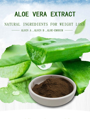 Aloe Vera Extract Weight Loss Supplement Powder 10% 20% 90% 95%