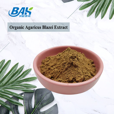 10% - 50% Polysaccharide Mushroom Extract Supplement Organic Agaricus Blazei Extract