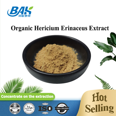 Hericium Erinaceus Extract Supplement For Healthy Immunity Vitality
