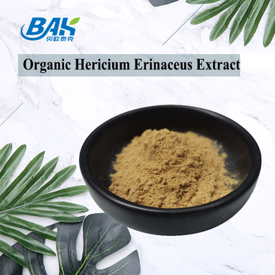 Hericium Erinaceus Extract Supplement For Healthy Immunity Vitality