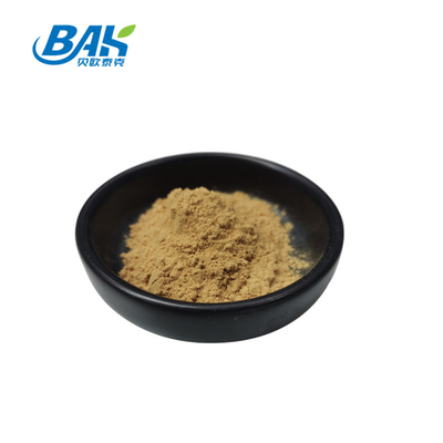 Hericium Erinaceus Extract Supplement For Healthy Immunity Vitality