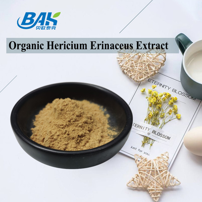 30% Polysaccharide Hericium Erinaceus Extract Brown Fine Powder