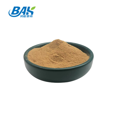 50% Polysaccharides Lentinula Edodes Shitake Mushroom Extract Powder