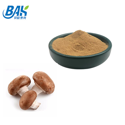 50% Polysaccharides Lentinula Edodes Shitake Mushroom Extract Powder