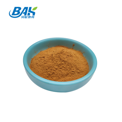 Organic Coriolus Versicolor Mushroom Extract Supplement Brown Yellow Powder