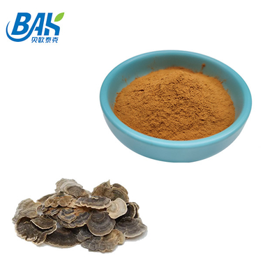 10%-50% Coriolous Versicolor Mushroom Extract Supplement Brown Yellow Powder