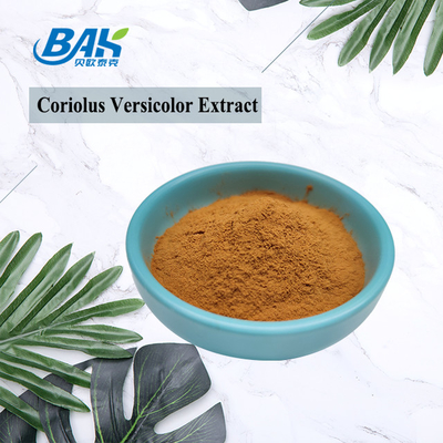 Organic Coriolus Versicolor Mushroom Extract Supplement Brown Yellow Powder