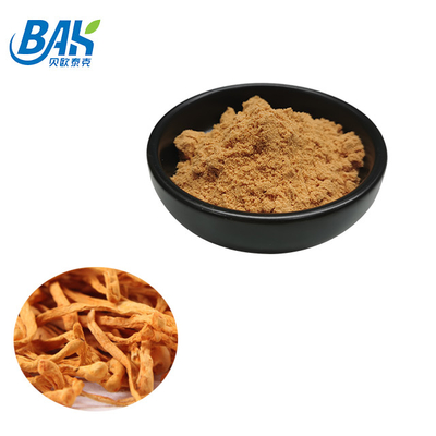 80 Mesh To 120 Mesh Cordyceps Militaris Extract