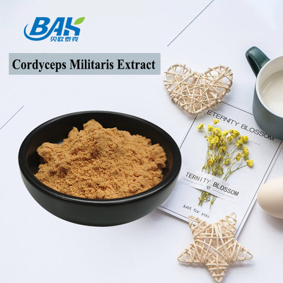 80 Mesh To 120 Mesh Cordyceps Militaris Extract