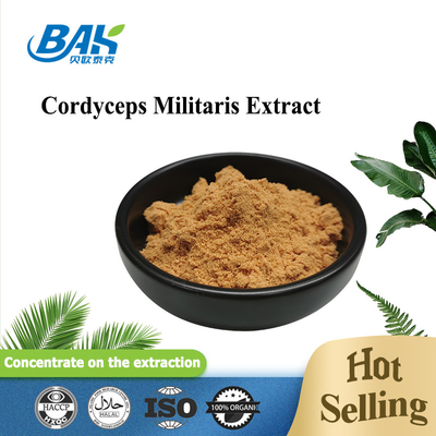 80 Mesh To 120 Mesh Cordyceps Militaris Extract