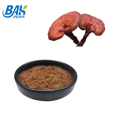 200 Mesh Fine Powder Broken Ganoderma Lucidum Spore Powder
