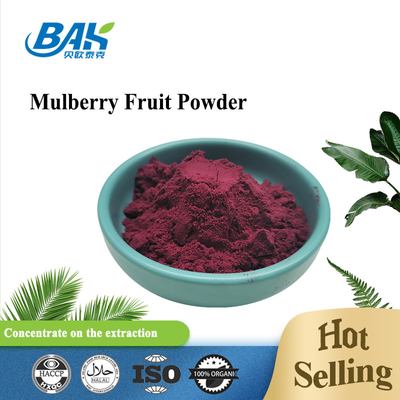 Morus Alba L Mulberry Fruit Purple Powder