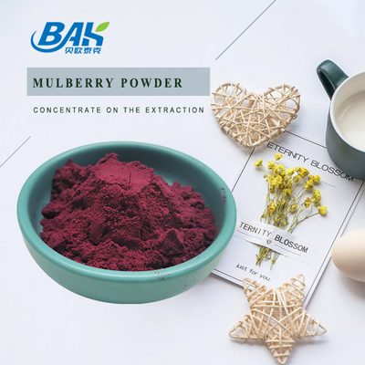 Morus Alba L Mulberry Fruit Purple Powder