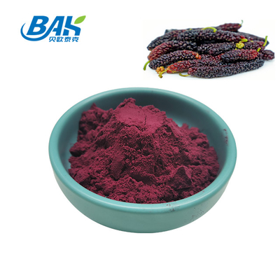 Morus Alba L Mulberry Fruit Purple Powder