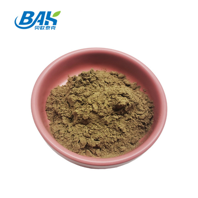 Ajuga Turkestanica Extract 2%-20%