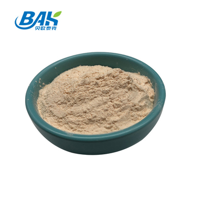 Yam Extract Mens Health Supplement 5% - 20% Diosgenin Powder