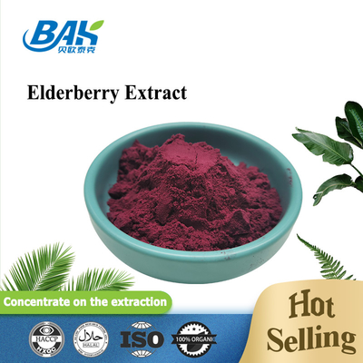 1% - 25% Anthocyanin Extract Supplement Elderberry Extract Powder Boost Immunity