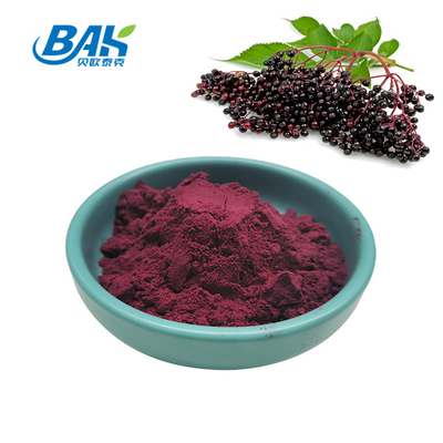5% Anthocyanin Extract Supplement Purple Red Elderberry Extract Powder