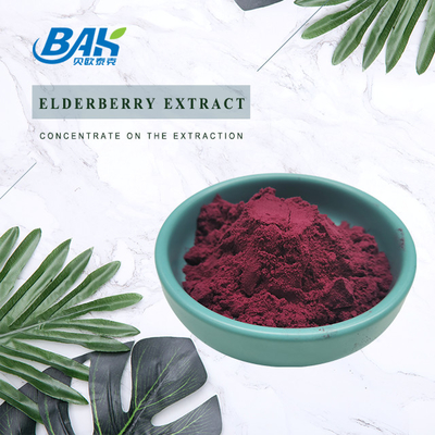 5% Anthocyanin Extract Supplement Purple Red Elderberry Extract Powder
