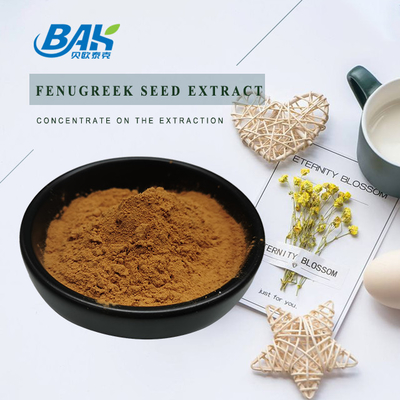 Saponin Fenugreek Seed Extract Powder