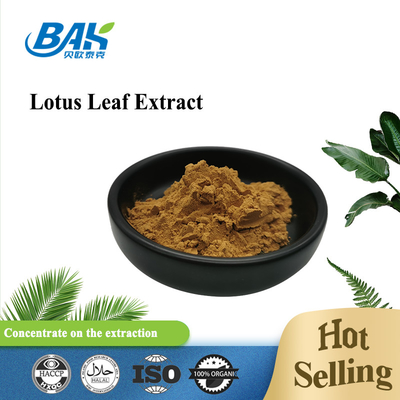 Lotus Leaf Extract Weight Loss Supplement Powder