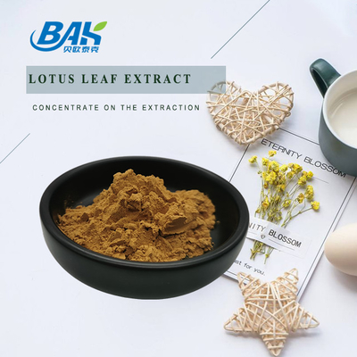 Nuciferine Lotus Leaf Extract Powder Plant Extract Powder BAK Halal Kosher