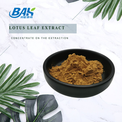 Lotus Leaf Extract Weight Loss Supplement Powder