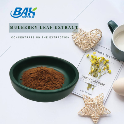 1-DNJ Immune Enhancing Supplements Mulberry Leaf Extract 1% - 5%