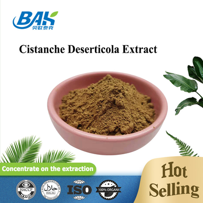 Bulk Echinacoside 15%Min Acteoside 3.5%Min Cistanche Deserticola Extract