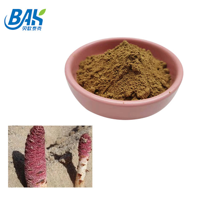 Bulk Echinacoside 15%Min Acteoside 3.5%Min Cistanche Deserticola Extract