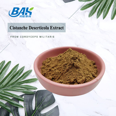 Bulk Echinacoside 15%Min Acteoside 3.5%Min Cistanche Deserticola Extract