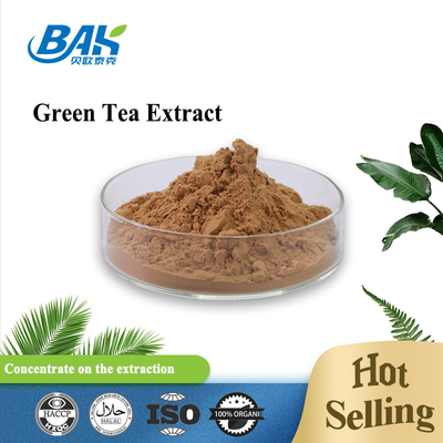 1kg/bag Liver Protection Supplement Green Tea Extract Powder