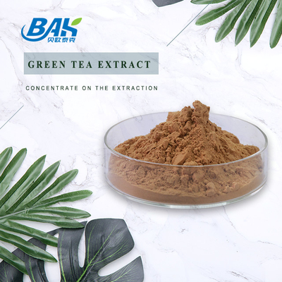 1kg/bag Liver Protection Supplement Green Tea Extract Powder