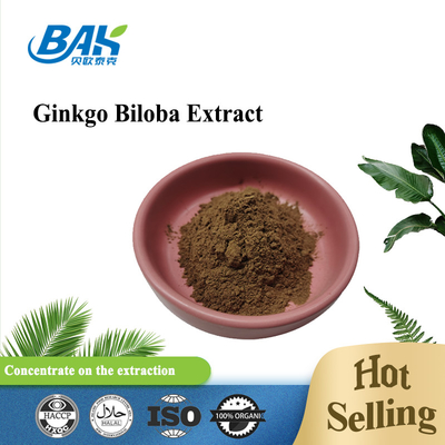Ginkgo Biloba Extract Cas 90045-36-6