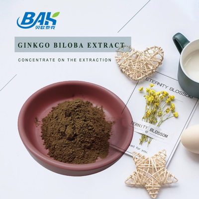 Ginkgo Biloba Extract Cas 90045-36-6