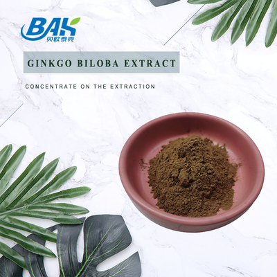 Ginkgo Biloba Extract Cas 90045-36-6