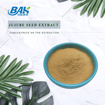 90% - 95% Nutrient Supplement Powder Semen Ziziphi Spinosae Extract