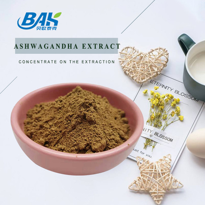 Withanolides Plant Extract Powder Extract Ashwagandha Extract Powder 1% 2.5%