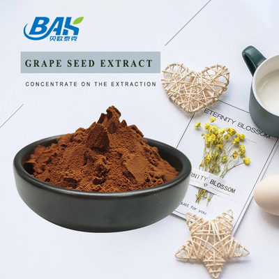 Anthocyanin Procyanidine Grape Seed Extract Brown Red Powder