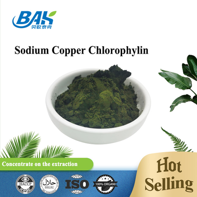 Dark Green Sodium Copper Chlorophyllin Powder 65963-40-8 Natural Food Additives