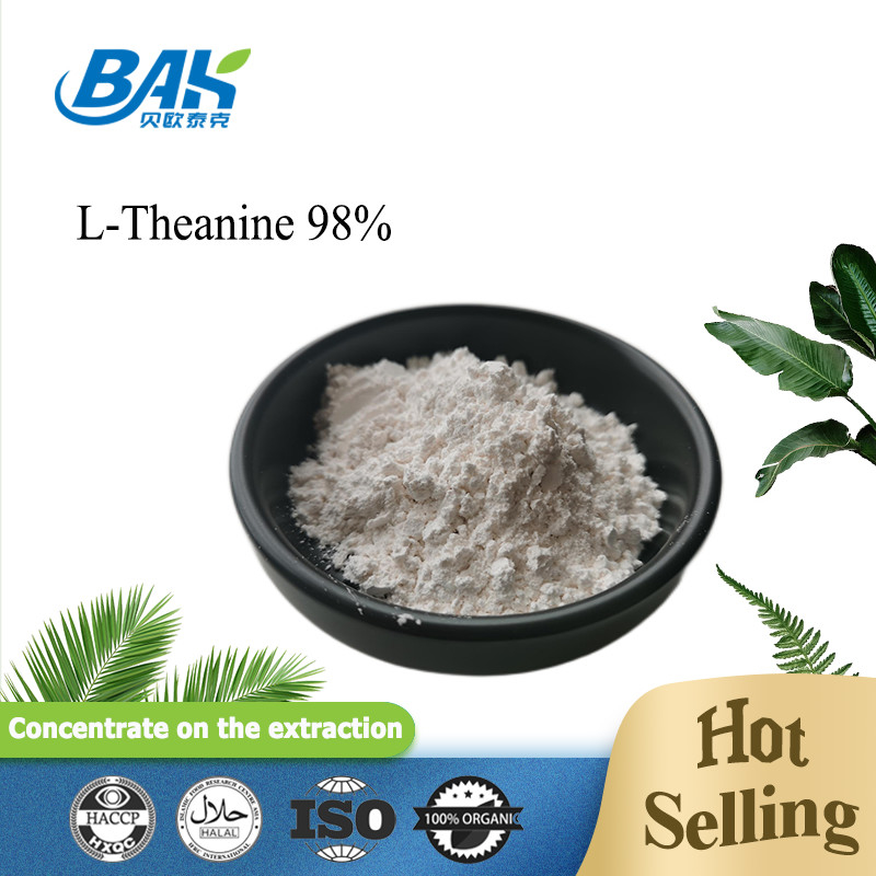 CAS NO 3081-61-6 Natural Herbal Extract For Healthy Diet Green Tea Extract Powder Theanine 98% Powder