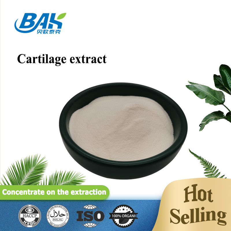 25% Peptide Protein Powder Cartilage Extract Type II Collagen