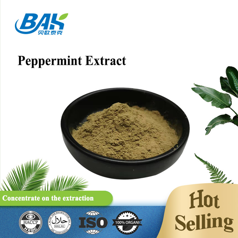 Factory Wholesale Pure Peppermint Extract Immune Enhancing Supplements Mentha Haplocalyx Briq Brown Powde