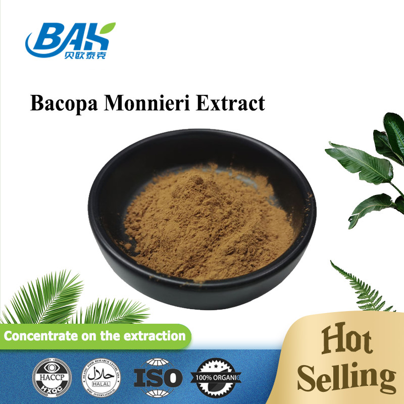 Hot Selling HPLC UV Bacopa Monnieri Extract Brown Yellow Powder 100% Pass 80 Mesh