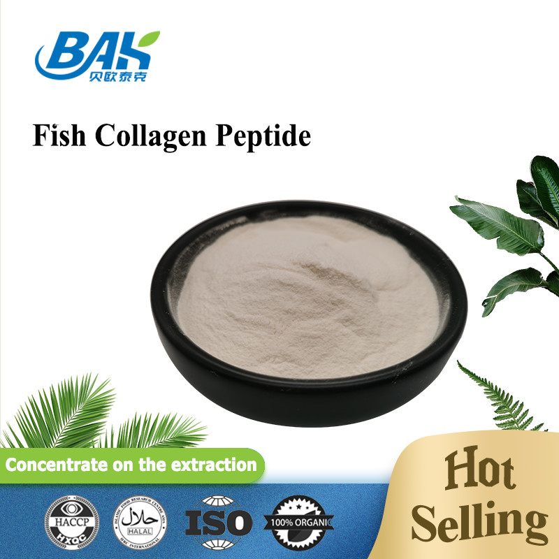Scale Skin Fish Collagen Peptide  Light Yellow To Brown Powder 100 80 40 Mesh